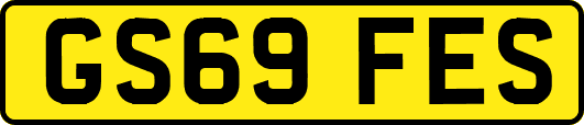 GS69FES