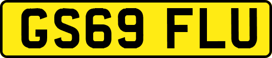 GS69FLU