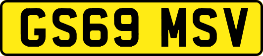 GS69MSV