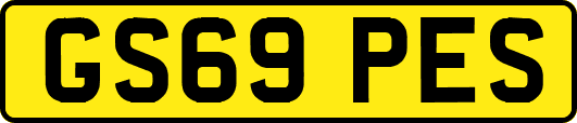 GS69PES