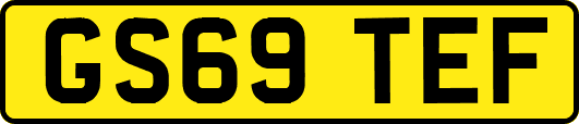 GS69TEF