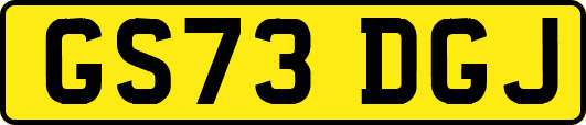 GS73DGJ