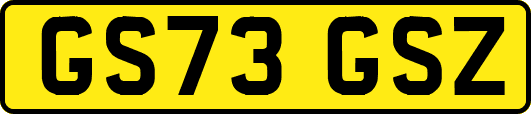 GS73GSZ