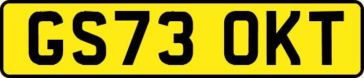 GS73OKT