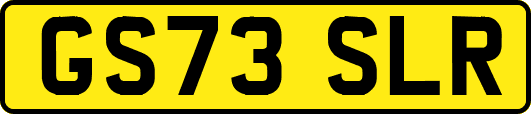 GS73SLR