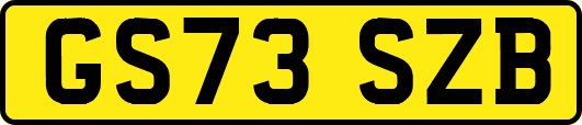 GS73SZB