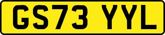 GS73YYL