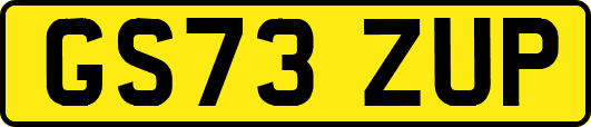 GS73ZUP