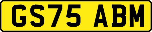 GS75ABM