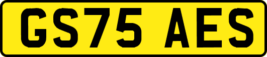 GS75AES
