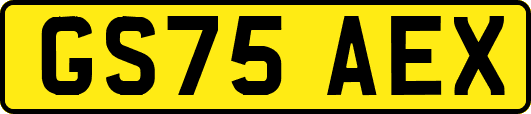GS75AEX