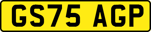 GS75AGP