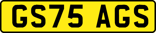 GS75AGS