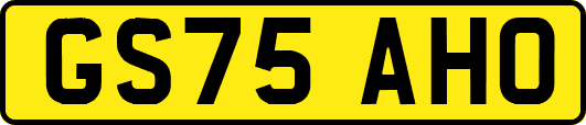 GS75AHO