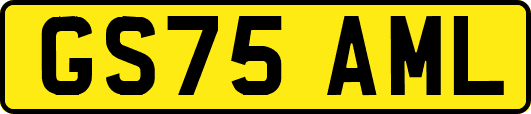 GS75AML