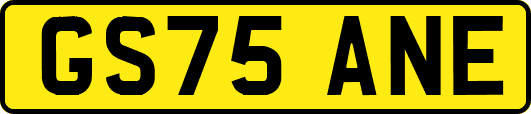 GS75ANE