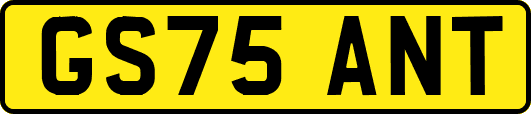 GS75ANT