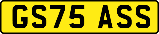 GS75ASS