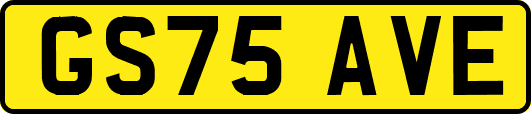 GS75AVE