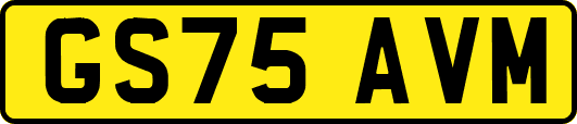 GS75AVM
