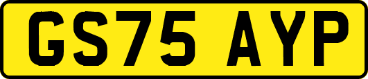 GS75AYP