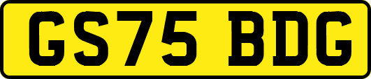 GS75BDG