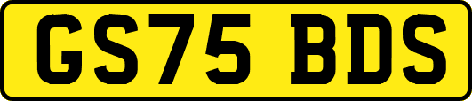 GS75BDS