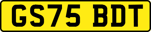 GS75BDT