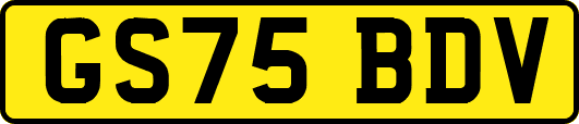 GS75BDV
