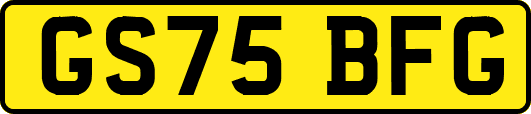 GS75BFG