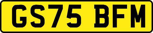 GS75BFM