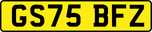 GS75BFZ
