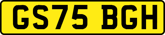 GS75BGH