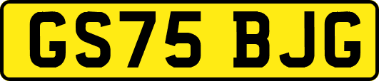 GS75BJG