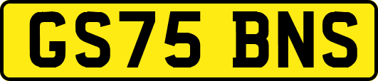 GS75BNS