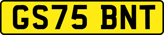 GS75BNT