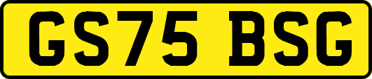 GS75BSG