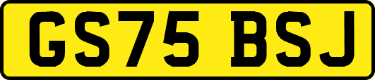 GS75BSJ