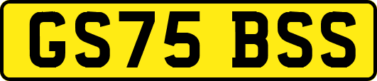 GS75BSS