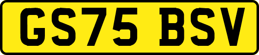 GS75BSV