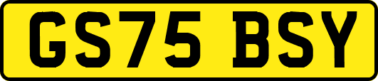 GS75BSY