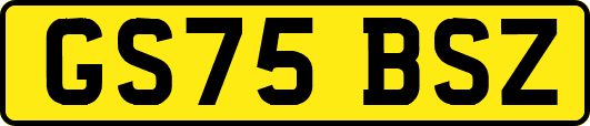 GS75BSZ