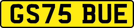 GS75BUE
