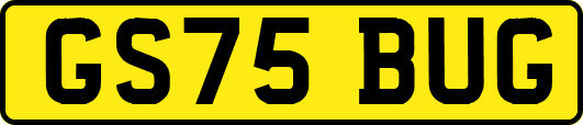 GS75BUG