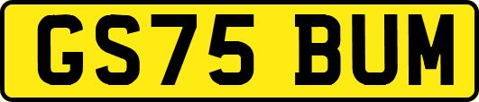 GS75BUM