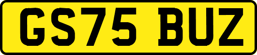GS75BUZ
