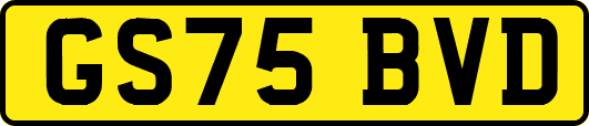 GS75BVD