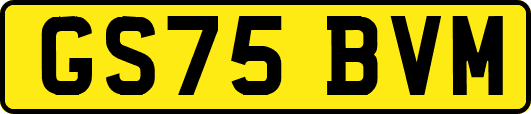 GS75BVM