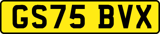 GS75BVX