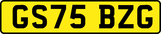 GS75BZG